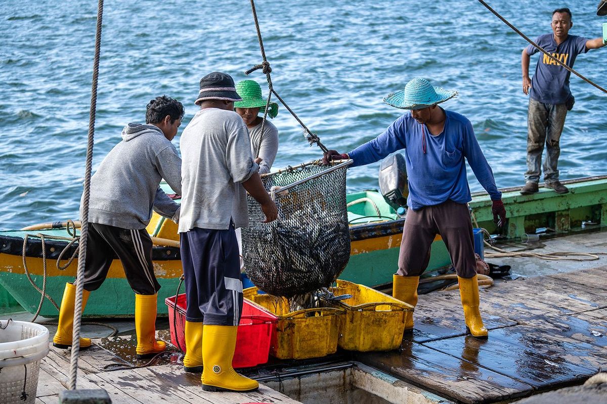 これが｢現代の奴隷制｣である…海外メディアが報じた｢中国人船員に