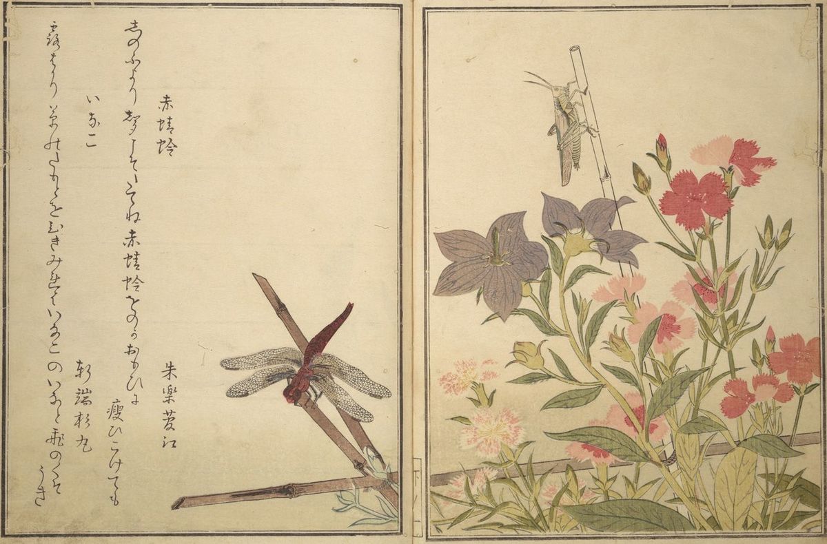 情事の前後まで目に浮かぶ…｢べらぼう｣歌麿が春画でも才能を発揮した｢神