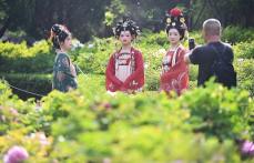 洛陽で文化観光の「タイムスリップ」没入型体験を生み出す「漢服＋」―中国