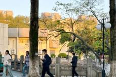 南京農業大学の男子学生、小学生のふりをして女子大学生をだまし肩車させる―中国