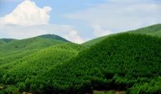 中国、陸地生態系の90％が効果的に保護―中国生態環境部