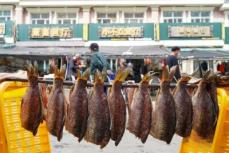 淡水魚の都・黒竜江省撫遠市、大市場へ「泳ぎ出した」冷水魚―中国