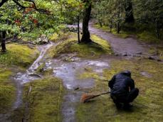 NVIDIAのフアンCEO「京都・銀閣寺の庭での体験が人生観を決定づけた」―華字サイト