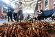 収穫シーズン到来！さまざまな野生キノコ並ぶ雲南省のキノコ取引市場―中国