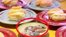 台湾のスシローで迷惑行為、客の女子大生がヤモリをしょうゆ皿に乗せる―台湾メディア