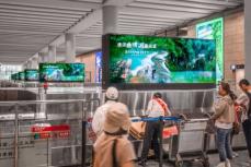 中国のビザ免除措置、東南アジアの旅行者に好評、人気旅行先は雲南―シンガポールメディア