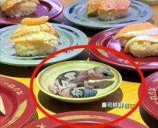 台湾スシローのしょうゆ皿にヤモリ、「とんでもない額」の賠償を求められる可能性―台湾メディア