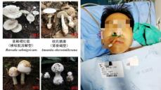四川省で毒キノコ食べた家族、1人死亡3人重体―中国