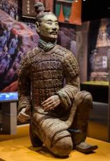 考古学の新技術、新たに出土した兵馬俑本来の色をとどめる―中国