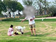 子どもを追い回す野放しの犬、親の抗議に飼い主が理不尽な逆ギレ―中国メディア