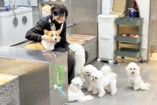中国でペットを「幼稚園」に通わせる勤め人が増加中―香港メディア