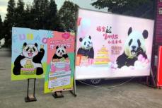 韓国生まれのパンダの中国での環境改善訴え、ファンが米紙に一面広告―韓国メディア