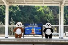 テーマはパンダ 高速鉄道の仏坪駅が人気急上昇―中国