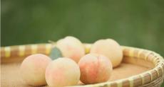 ジューシーな江蘇省陽山鎮産の水蜜桃、年間生産高は20億元以上―中国