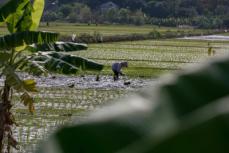 中国、15年連続でASEAN最大の貿易パートナーの地位を維持