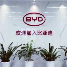 BYDの従業員が90万人突破、自動車メーカーでは世界最多―中国メディア