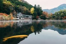 台湾人の夏休みのツアー旅行、3人に1人が日本へ―台湾メディア