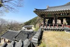 対馬から盗まれた仏像、韓国の寺が返還に同意＝韓国ネット反発「盗まれたものを盗み返しただけ」