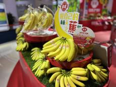 コーヒー豆にドリアン、バナナ…第7回輸入博で各国の農産品が人気―中国