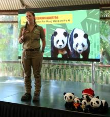 オーストラリアの動物園でパンダ2頭の送別会―中国メディア