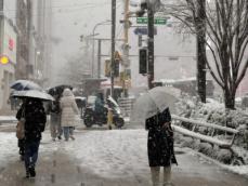 韓国で記録的大雪、スキーを履いて出勤する男性が話題に「すごい根性」「ここまでして…」