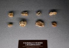 華龍洞人は東アジア最古のホモ・サピエンスに進化した人類、中国の科学者が確認