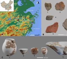 中国浙江省、1万年前の遺跡から東アジア最古の米酒醸造の証拠を発見