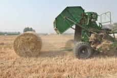 化学肥料の使用を減らしつつ、過去最高の食糧生産量を実現した中国―インドメディア