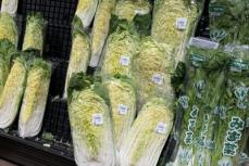 日本で野菜価格が高騰、在日中国人があらゆる工夫―華字メディア