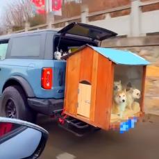 中国春節、車の後部に取り付けたヒッチキャリアに愛犬を犬小屋ごと載せて帰省する人も