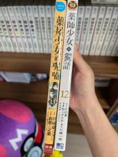 2025年お薦めのNetflixアニメ＝「薬屋のひとりごと」「わたしの幸せな結婚」など―台湾メディア