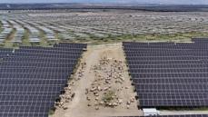 渡邉幸治★ 渡邉幸治 通訳兼マネージャー 契約満了のお知らせ | 【公式