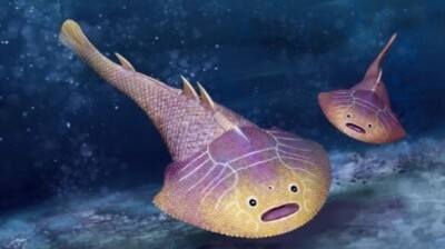 中国で4億3800万年前の新種の魚類化石が発見｜Infoseekニュース