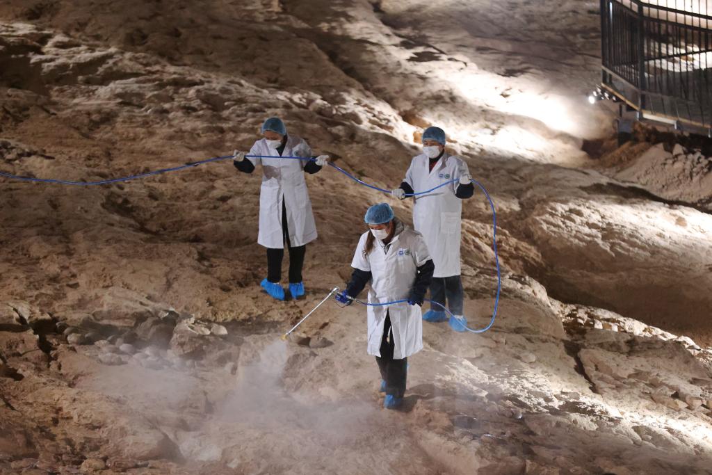 (貴重)　恐竜ハドロサウルスの卵化石　中国　補修あり 超大規模の恐竜卵化石群をナノコーティングで防護―中国｜Infoseekニュース