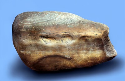 2300年前の「メッセージ」が手掛かりに、歴史から消えた中山国の謎に
