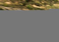 アウディ TT RS、新開発エアロキット装着…「アイコニック」は欧州100台限定