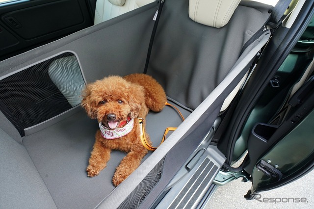 「飛行機内も宿泊も愛犬と一緒に過ごす温泉旅プラン」ホンダアクセスが愛犬用アクセサリー提供