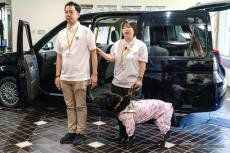 盲導犬のタクシー乗車拒否ゼロを目指す取り組み…日本盲導犬協会と東京タクシーセンターがコラボ