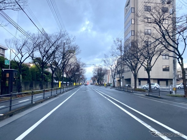 国道沿いビッグモーター10店舗で街路樹枯死、国交省が被害届提出