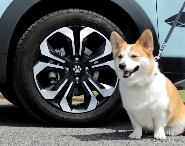 愛犬家の4人に1人、お泊り旅行の経験あり…ホンダアクセス調べ