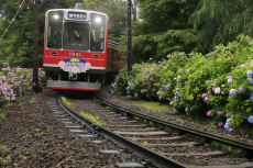 富士山登山鉄道の技術的課題は解決可能---富士スバルライン上にLRT、山梨県が報告書を公表