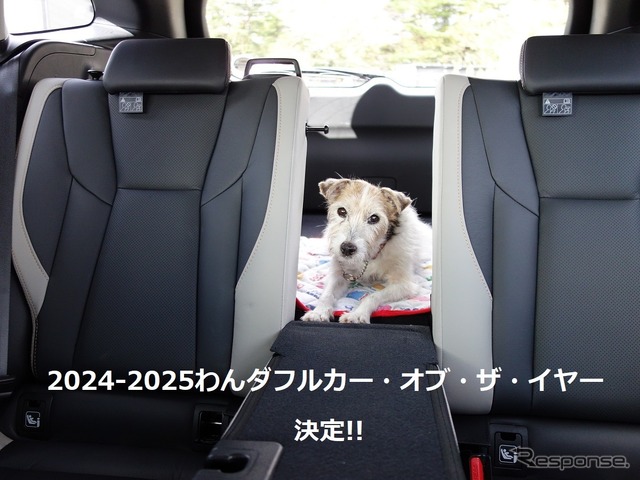 わんダフル カー・オブ・ザ・イヤー2024！ 愛犬家と愛犬にとってベストな一台とは【青山尚暉のわんダフルカーライフ 最終回】