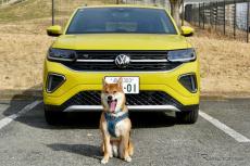 【VW Tクロス TSI R-Line 新型試乗】人にも中型犬にも“ちょうどよさ”が魅力…島崎七生人