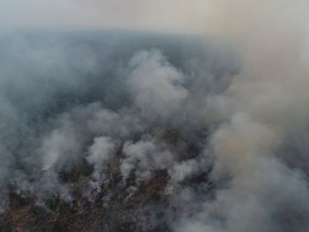ブラジル8月のアマゾン火災件数、過去10年で最悪の可能性＝科学者