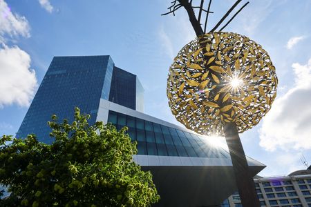 ＥＣＢ、将来のリスク見据えた政策決定すべき─レーン理事＝ＦＴ