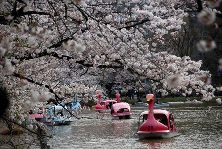 82カ所で花見宴会の自粛要請、上野など東京都管理の公園や河川敷