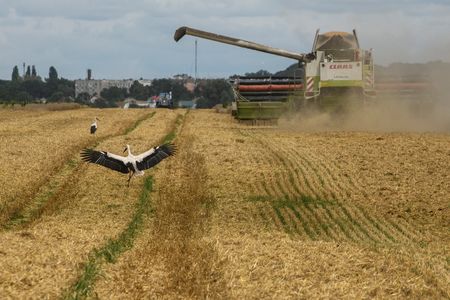 ウクライナの農産物輸出、9月は前月比10％減の210万トン