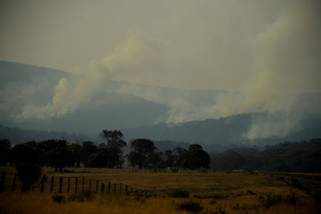 豪南東部に待望の豪雨、ＮＳＷ州の森林火災の3分の1が鎮火