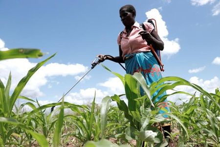 アングル：大干ばつから一転洪水リスク、アフリカの小国が苦しむ気候変動のツケ