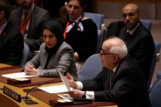 パレスチナ国連大使、イスラエルのガザ封鎖を非難　「非人道的行為」